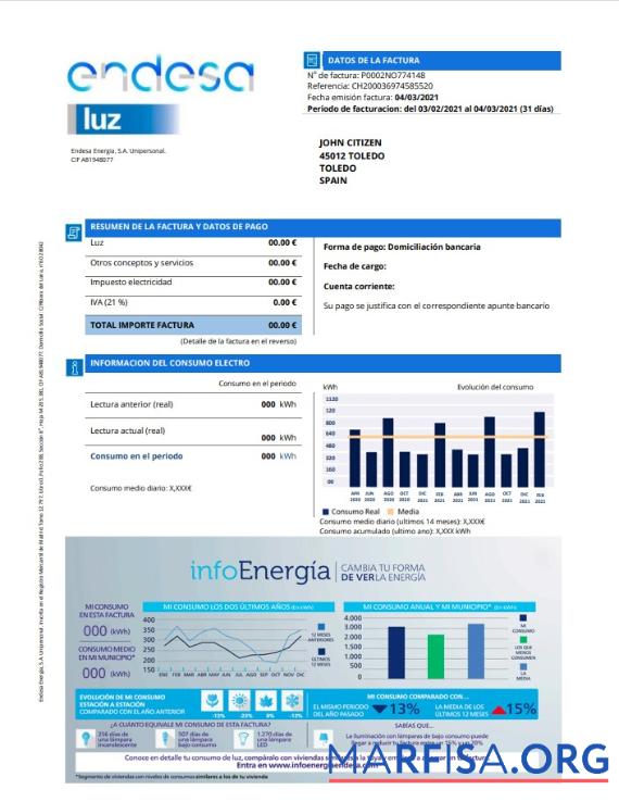 Blank Spain Endesa luz utility bill template in Word and PDF format